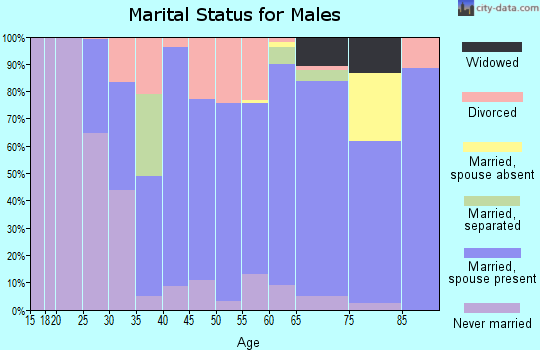 Zip code 04280 marital status for males