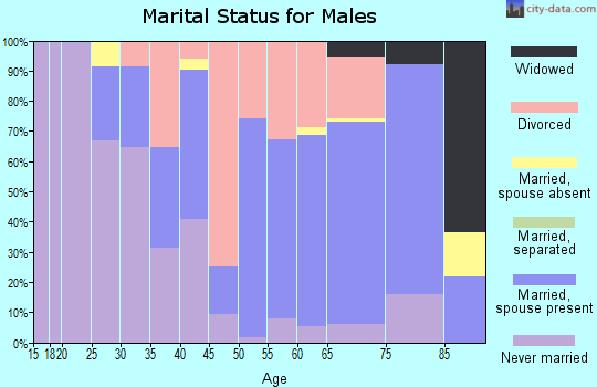 Zip code 04281 marital status for males