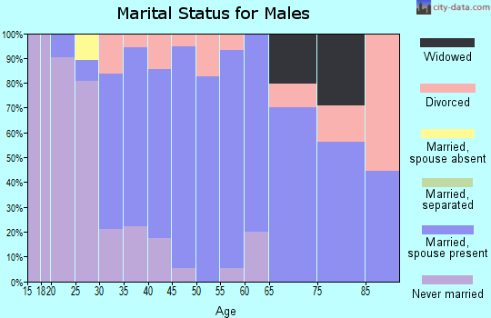 Zip code 04287 marital status for males