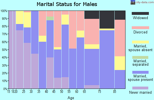 Zip code 04289 marital status for males