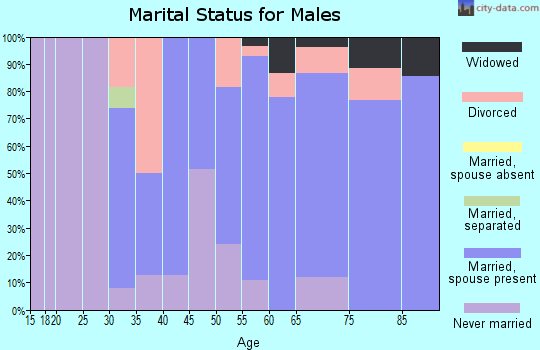 Zip code 04290 marital status for males