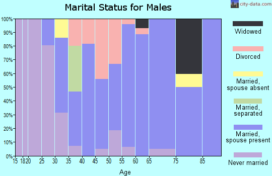 Zip code 04294 marital status for males