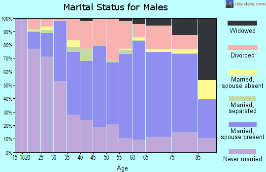 Zip code 04330 marital status for males