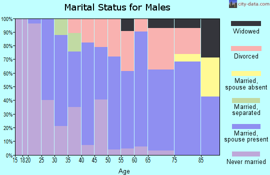 Zip code 04342 marital status for males