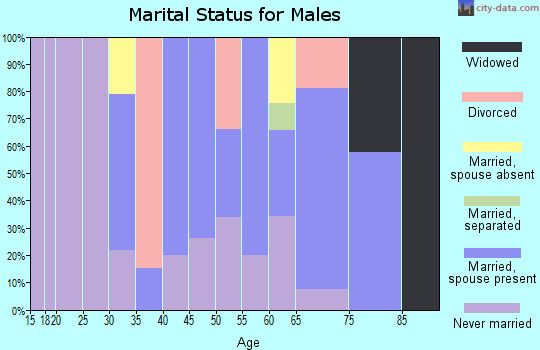 Zip code 04344 marital status for males