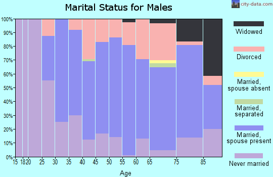 Zip code 04345 marital status for males