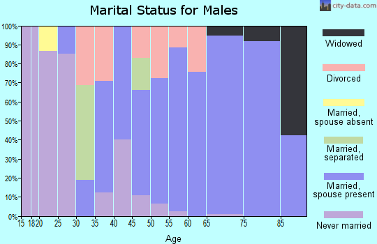 Zip code 04346 marital status for males