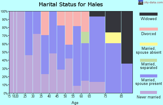 Zip code 04347 marital status for males