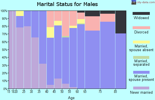 Zip code 04348 marital status for males