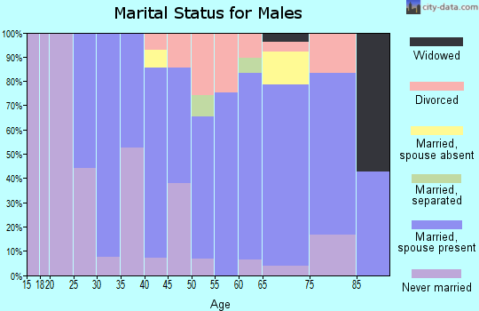 Zip code 04349 marital status for males