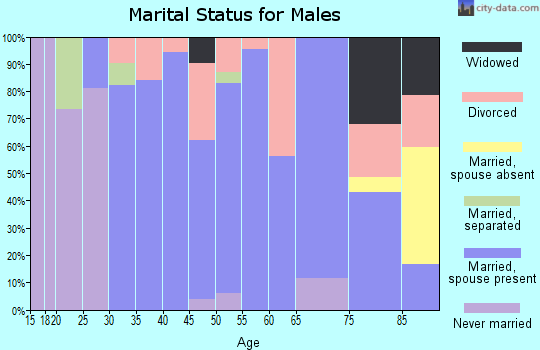 Zip code 04351 marital status for males
