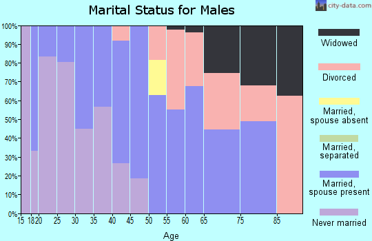 Zip code 04352 marital status for males
