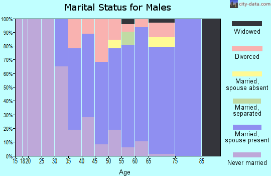 Zip code 04353 marital status for males