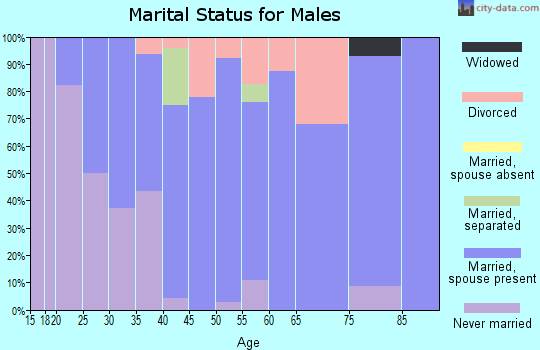 Zip code 04354 marital status for males