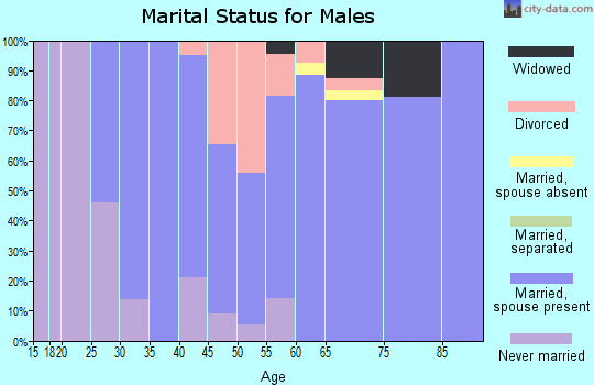 Zip code 04355 marital status for males