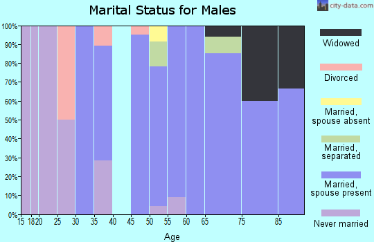 Zip code 04360 marital status for males