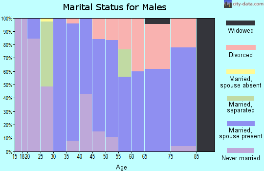 Zip code 04363 marital status for males