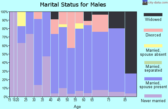 Zip code 04364 marital status for males