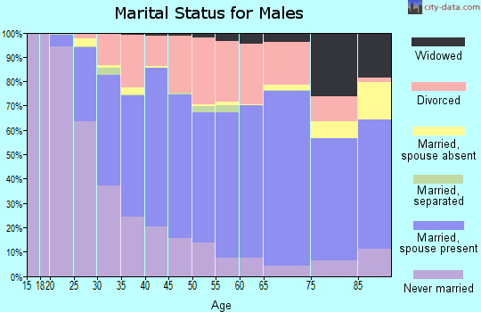 Zip code 04401 marital status for males