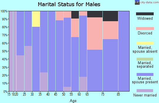 Zip code 04410 marital status for males