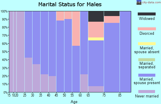 Zip code 04411 marital status for males