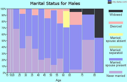 Zip code 04419 marital status for males