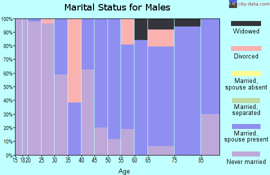 Zip code 04421 marital status for males