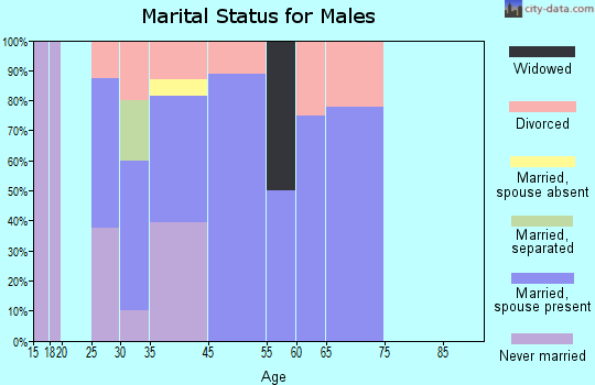 Zip code 04423 marital status for males
