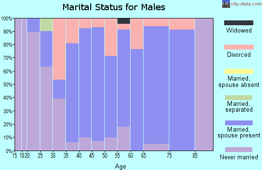 Zip code 04427 marital status for males