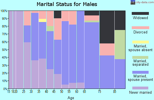 Zip code 04428 marital status for males