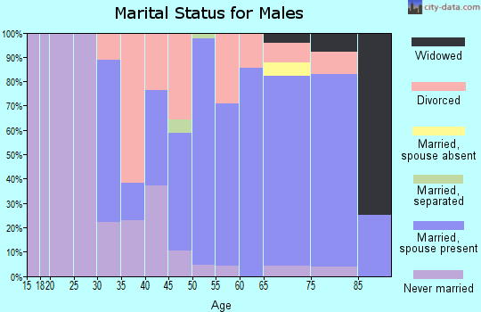 Zip code 04430 marital status for males