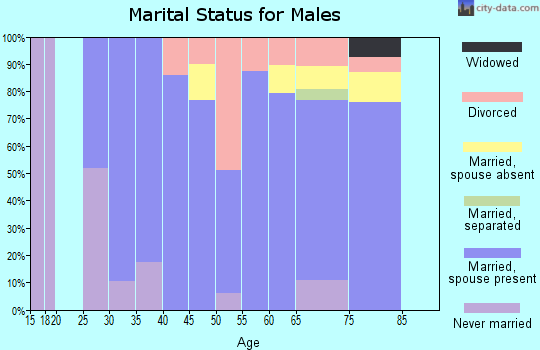 Zip code 04434 marital status for males