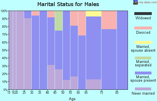 Zip code 04438 marital status for males