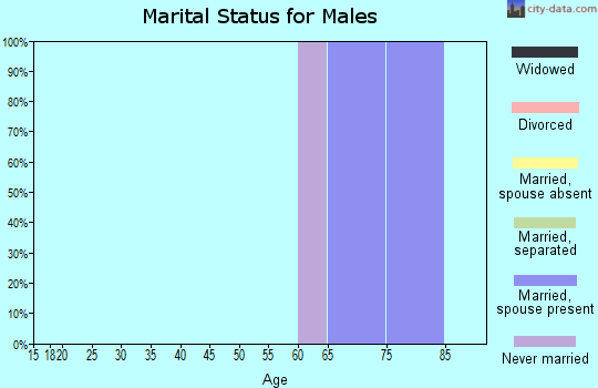 Zip code 04442 marital status for males