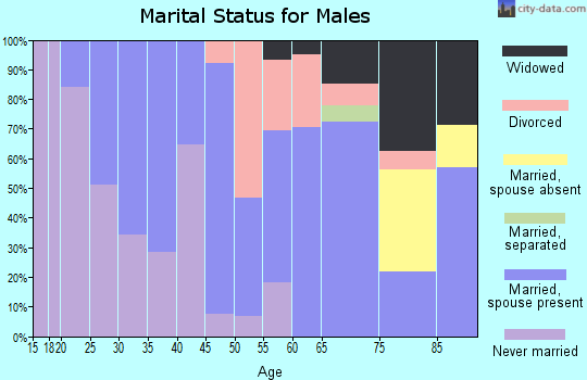 Zip code 04448 marital status for males
