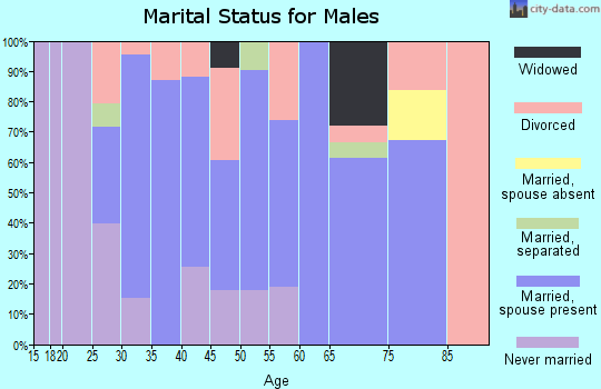 Zip code 04449 marital status for males