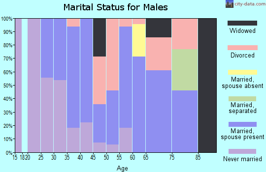 Zip code 04450 marital status for males