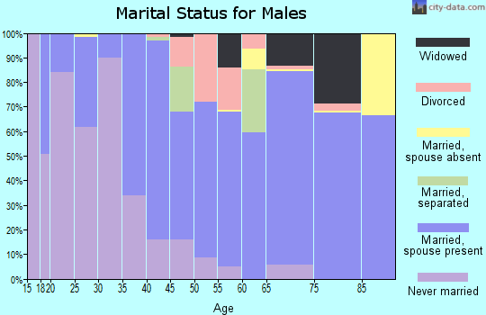 Zip code 04457 marital status for males
