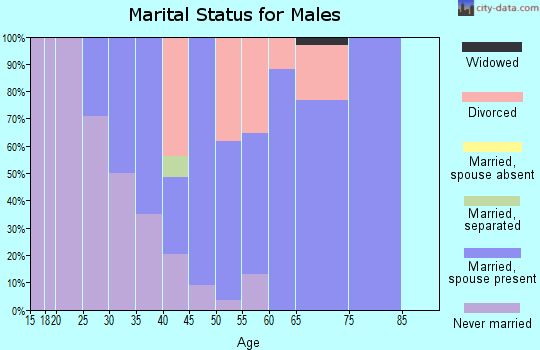 Zip code 04459 marital status for males
