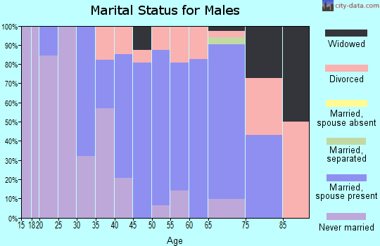 Zip code 04460 marital status for males