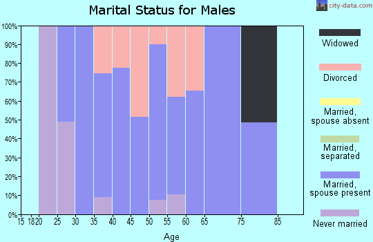 Zip code 04461 marital status for males