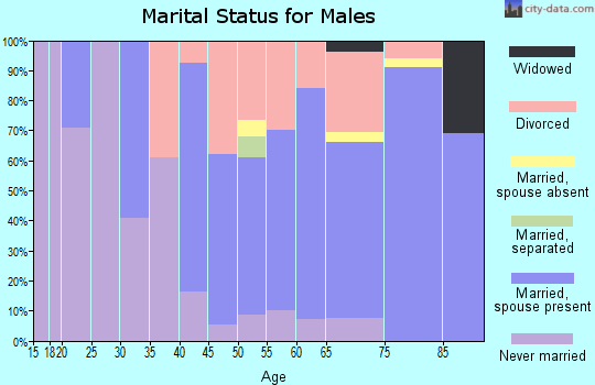 Zip code 04462 marital status for males