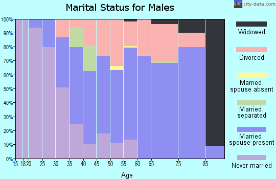 Zip code 04463 marital status for males