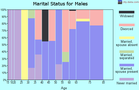 Zip code 04464 marital status for males