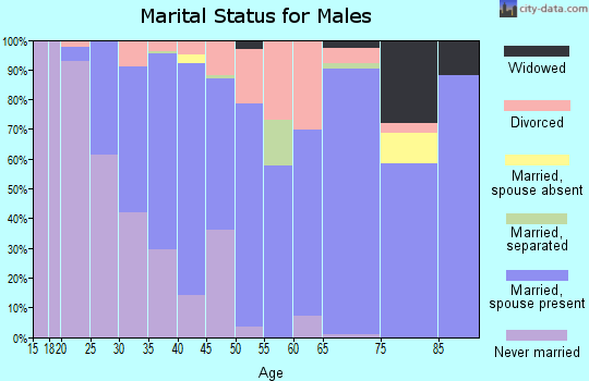 Zip code 04468 marital status for males