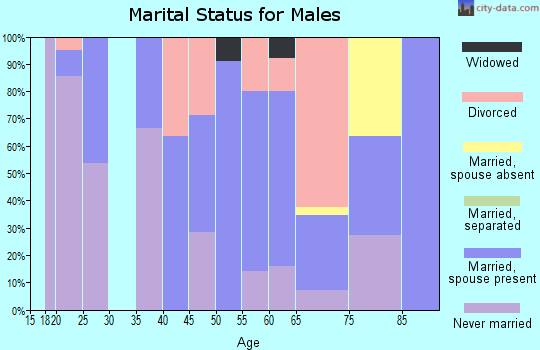 Zip code 04471 marital status for males