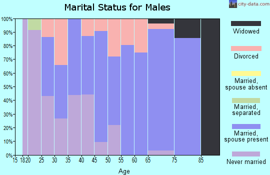 Zip code 04472 marital status for males