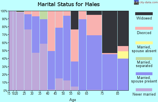 Zip code 04473 marital status for males