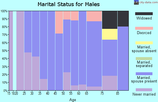 Zip code 04476 marital status for males