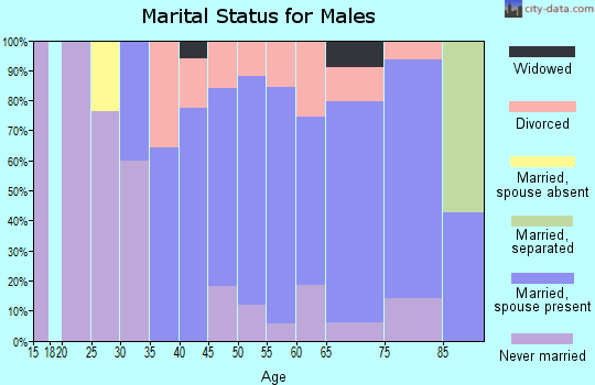 Zip code 04479 marital status for males